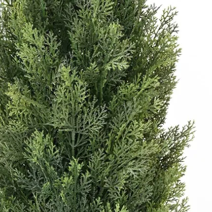 CYPRES artificiel MINI  150 cm - feuilles