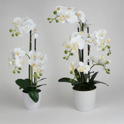 Orchidée PHALAENOPSIS artificielle en pot 60 ou 70 cm - différence