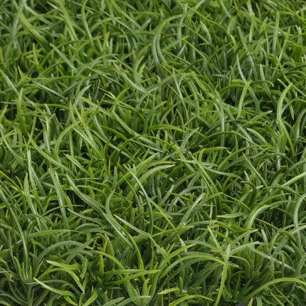 GAZON - HERBE FINE PLAQUE 27cm x 27cm - détail