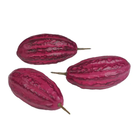 Cabosse cacao artificielle 20 cm vendu par 3 - violet