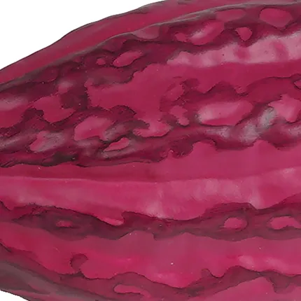 Cabosse cacao artificielle 20 cm vendu par 3 - violet en détail