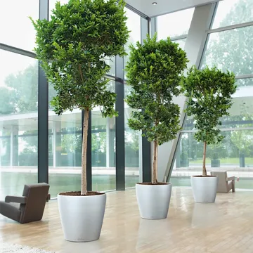 mise en situation Lechuza Classico gris argent dans une salle de repos