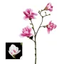 Branche de MAGNOLIA artificiel 82 cm 2 couleurs