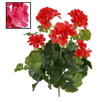 piquet Géranium plast 39 cm 2 couleurs