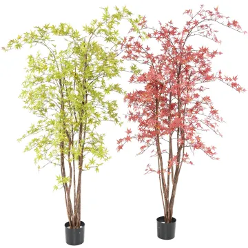 ERABLE artificiel plast (Aralia)  150 à 210 cm - 2 couleurs