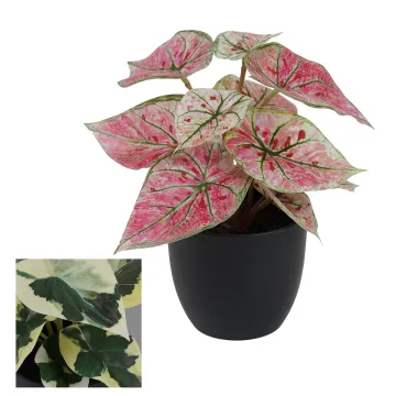 CALADIUM artificiel coloré 20 cm en pot - 2 couleurs