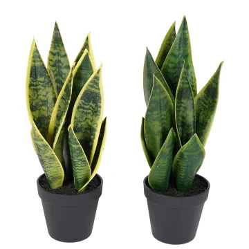 SANSEVIERIA artificiel 41 cm en pot - 2 couleurs