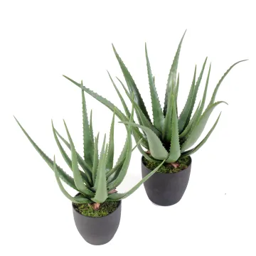ALOEVERA artificiel 60 et 70 cm - 2 tailles