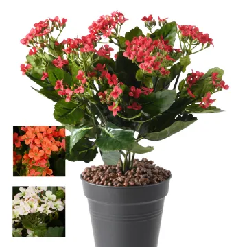 KALANCHOE artificiel 30 cm - 3 couleurs