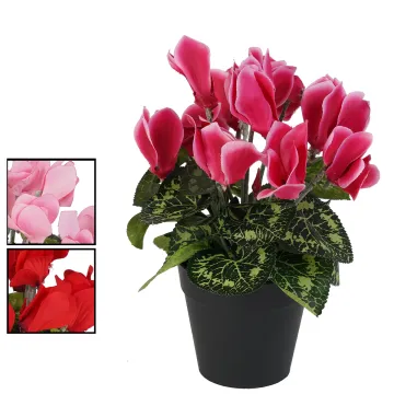 CYCLAMEN artificiel en pot 26 cm - 2 couleurs