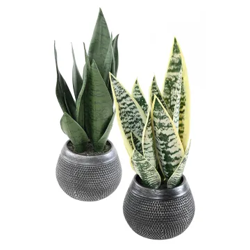 SANSEVIERIA artificiel 49 cm en pot déco - 2 couleurs