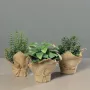 HERBES artificielles AROMATIQUES en pot 20 à 22 cm - 3 modèles