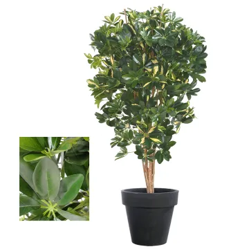 SCHEFFLERA artificiel vert ou vert/jaune 110 et 150 cm - 2 couleurs