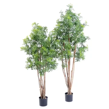 ARALIA artificiel MING NITIDA  150 et 180 cm - 2 tailles