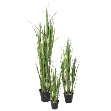 CANNE A SUCRE artificielle 75 à 180 cm - 3 tailles