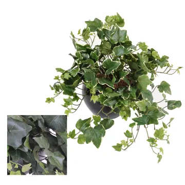 LIERRE GALA artificiel 50 cm - 2 couleurs