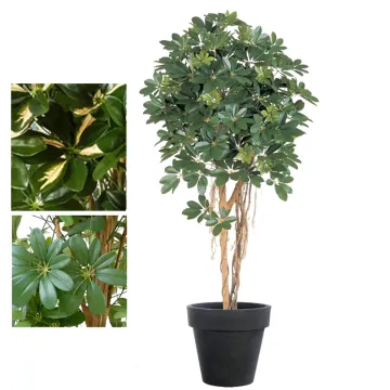 SCHEFFLERA artificiel parasol ou arbre parapluie 110 à 170 cm - 2 couleurs