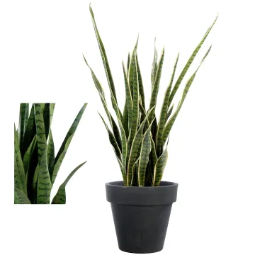 SANSEVIERIA artificiel 110 cm - 2 couleurs