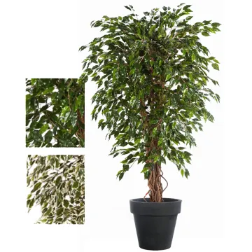 FICUS artificiel HAWAI LIANE      120 à 210 cm - 2 couleurs