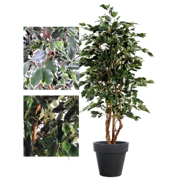 FICUS artificiel Exotica 180 et 210 cm - 2 couleurs