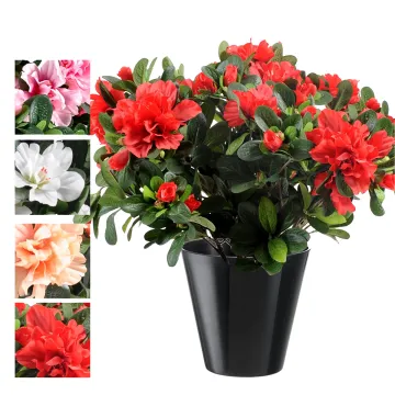 AZALEE artificielle 30 cm - 4 couleurs