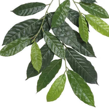 branche artificielle CACAOYER 80 cm