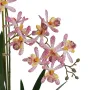 ORCHIDEE artificielle RENANTHERA 55 cm en pot - fleurs