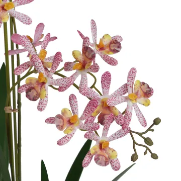 ORCHIDEE artificielle RENANTHERA 55 cm en pot - fleurs