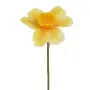 JONQUILLE artificielle 40 cm