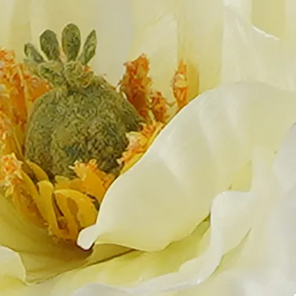 PAVOT artificiel 70 cm - pistils