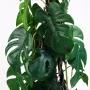 PHILODENDRON MONTSERA artificiel 80 cm - feuilles