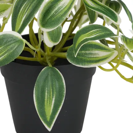Misère artificielle en pot 17 cm - feuilles
