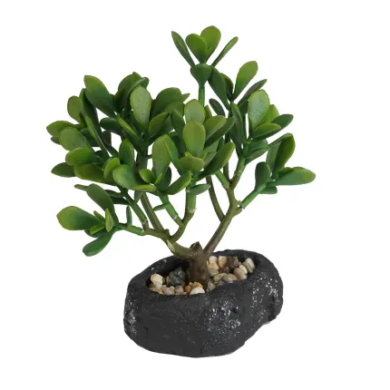 BONSAI Crassula artificiel  23 cm - dos