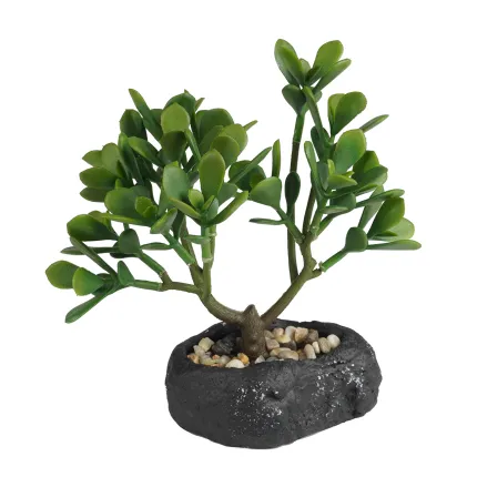BONSAI Crassula artificiel  23 cm - de face