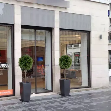 BUIS artificiel TIGE BOULE NEW 110 à 170 cm devant un commerce