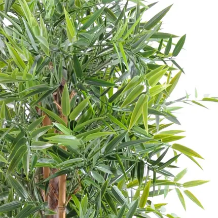 HAIE artificielle BAMBOU dense japenese plast 90 à 180 cm largeur 110 cm - feuille plastique