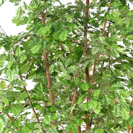 CHENE artificiel 330 cm  ANTI FEU - feuilles