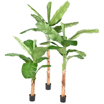 BANANIER artificiel royal 170 à 280 cm