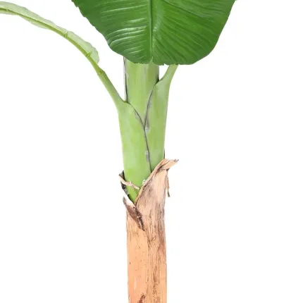 BANANIER artificiel royal 170 à 280 cm - tronc