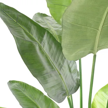 STRELITZIA  artificiel 180 ou 220 cm - feuilles