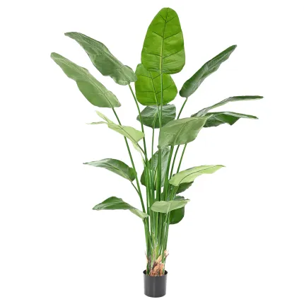 STRELITZIA  artificiel 220 cm