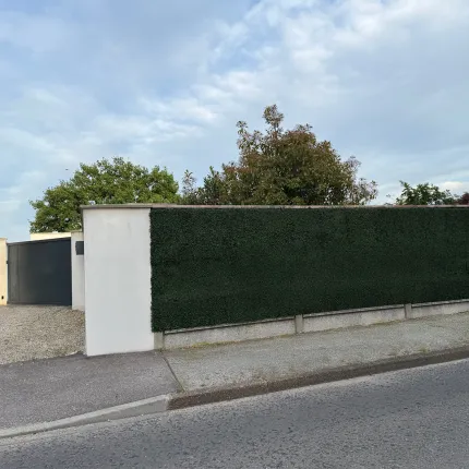 BUIS PLAQUE 26 cm x 26 cm en façade sur un mur