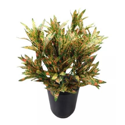 CROTON artificiel spider pointé 40 cm en pot