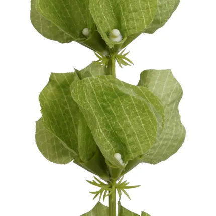 MOLUCEE artificiel 78 cm  - détail