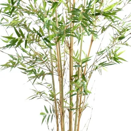 feuilles et cannes BAMBOU artificiel ORIENTAL NEW 90 à 280 cm