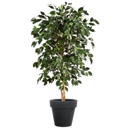 FICUS artificiel NITIDA exotica 150 à 210 cm en pot