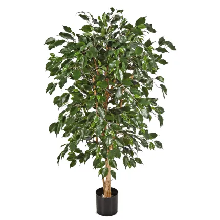 FICUS artificiel NITIDA exotica 150 à 210 cm