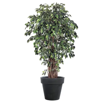 FICUS artificiel LIANE Deluxe 150 à 330 cm