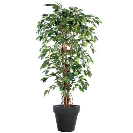 FICUS artificiel benjamina  LIANES Grandes Feuilles vert