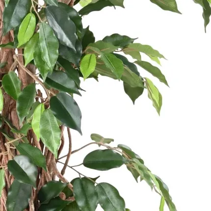 feuillage FICUS artificiel benjamina  LIANES Grandes Feuilles vert